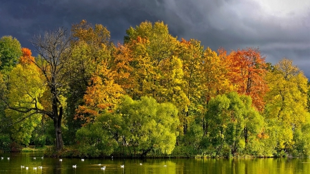 Beautiful Autumn - treees, river, forest, autumn