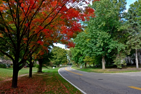 Autumn Tranquility - gorgeous autumn, autumn colors, Autumn Tranquility, scenic autumn, beautiful autumn