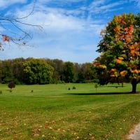 Autumn Field