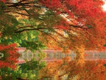 Autumn Trees Reflected in Lake