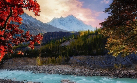 Clear water - nature, mountains, trees, river