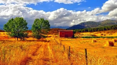 Road along the Autumn Field - fields, autumn, trees, clouds, barn