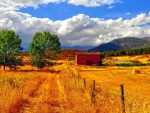 Road along the Autumn Field