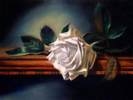 âœ¿âŠ±â€¢â•®White Roseâ•­â€¢âŠ°âœ¿ - roses, water drops, lovely, still life, creative pre-made, white roses, nature, love four seasons, pretty, beautiful, paintings, beloved valentines, flowers, lovely still life