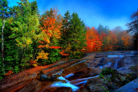 Autumn stream - autumn, trees, flow, stream, lovely, foliage, view, fall, pretty, river, beautiful