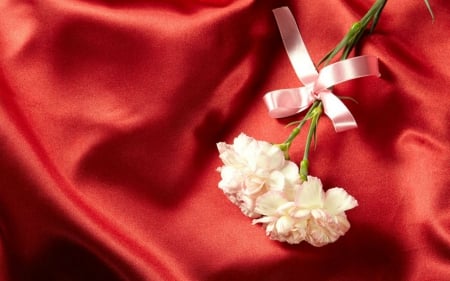 Flower in Silk Cloth - cloth, red, flower, silk