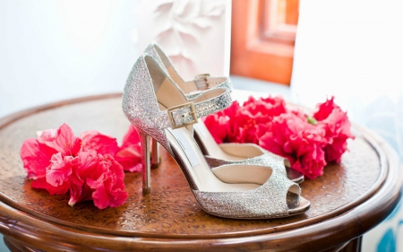 Silver Shoe