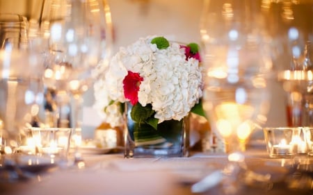 Beautiful Flowers in the Glass - table, settings, flowers, glass