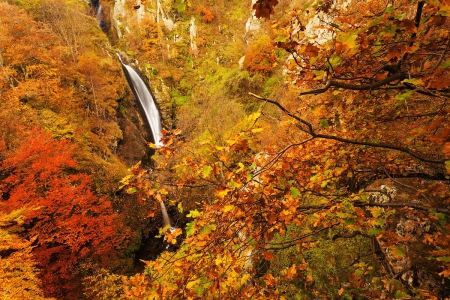 Autumn Waterfalls - fall, waterfall, waterfalls, branches, trees, autumn