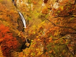 Autumn Waterfalls