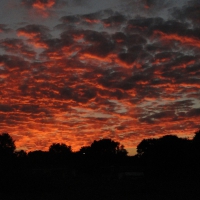 Backyard sunset