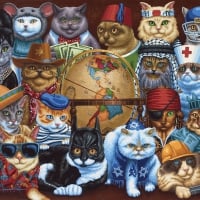 Cat's Around  World