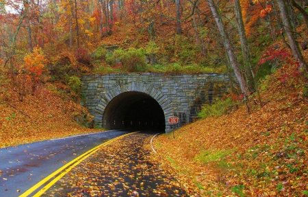 Tunnel in Blue Ridge Mountains - Falling leaves, Tunnel, colorful, Autumn