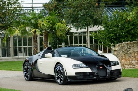 Bugatti Grand sport vitesse Lang Lang special edition - bugatti, 2014, grand sport, car, 29, 09