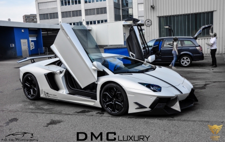 DMC design Lamborghini Aventador LP900 special version - 09, car, picture, 29, 2014, lamborghini