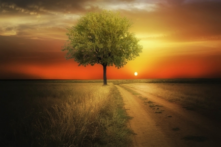 Dawning - clouds, trees, yellow, dirt road, beautiful, mystic, sunrise, grass, orange, dawn, red, green, field, sky