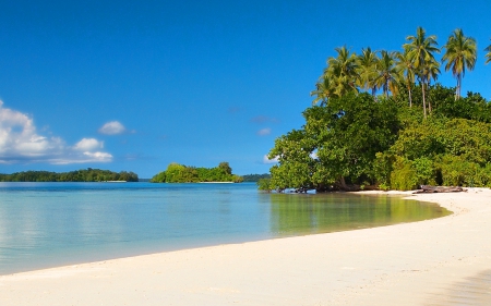 Secluded Tropical Beach - oceans, palms, nature, beaches, tropical beach, sky