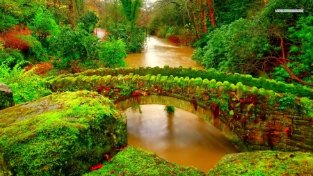 Moss-Covered Stone Bridge in Park - bridges, trees, nature, architecture, parks