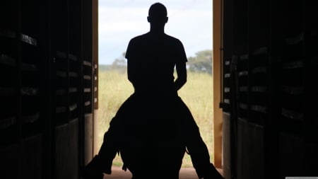 a man and a horse - silhouette, horse, stable, man