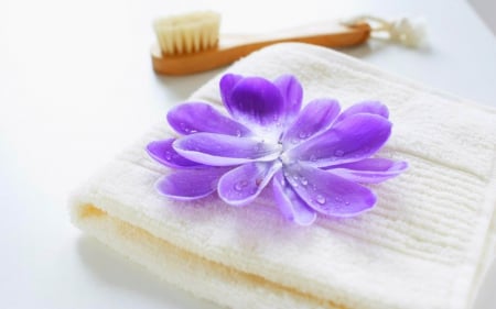 Spa - flowers, brush, towel, spa