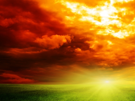 Bright Sunset - red, field, yellow, sunset, green