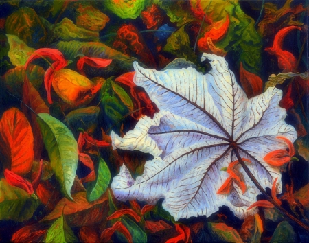 Different Autumn Leaves