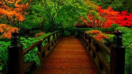 Early autumn - calm, trees, beautiful, forest, lovely, walk, fall, autumn, garden, serenity, early, bridge, park