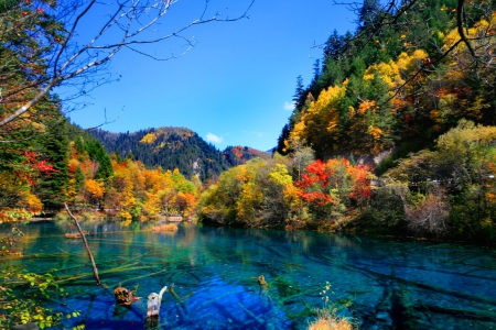 Early autumn - calm, trees, beautiful, lovely, reflection, mountain, tranquility, autumn, serenity, lake, early, sky