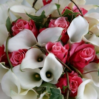 Bouquet of Pink Roses and White Calla Lilies