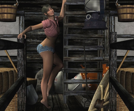 Jake's Cowgirl Help 3D