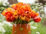 Orange Tulips