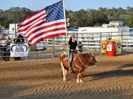 Cowgirl Salute To Veterans - girls, westerns, women, bulls, flags, cowgirls, outdoors, rodeo, fun, female, america