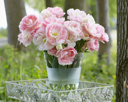 Pink Flowers - flowers, vase, pink, bloom