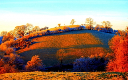 Morning Sunlight - fall, trees, landscape, shadows, colors