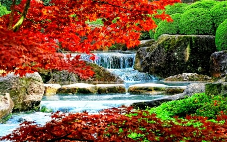 Autumn Waterfall - bush, cascades, trees, water, red, green, colors