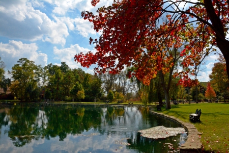 Gorgeous Autumn Scene - gorgeous autumn scene, beautiful autumn, autumn view, scenic autumn