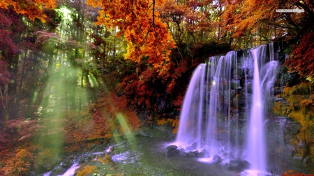 Beautiful Waterfall in Autumn Forest - nature, sunshine, autumn, forests, waterfalls