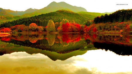 Autumn Forest Reflecting in the Lake - reflections, nature, lake, autumn, forests