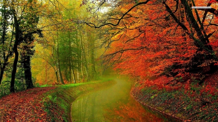 Canal in Autumn Forest - nature, autumn, canals, forests, mists, fog