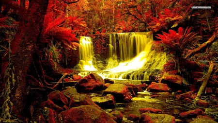 Autumn Forest Waterfall - nature, autumn, forests, trees, red, waterfalls, rocks