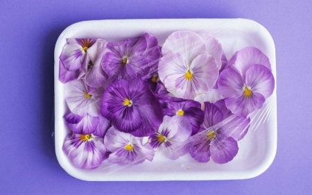 Purple Flowers - plastic, flowers, petals, purple