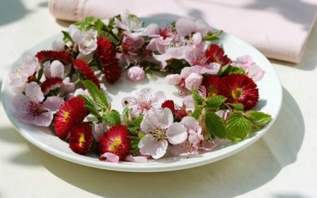 Flowers in Plate - flowers, table, plate, petals