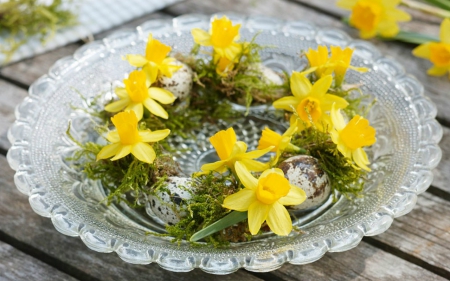 Beautiful Flowers in Plate - flowers, plate, yellow, petals