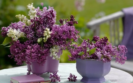 Beautiful Flowers - ceramic, purple, flowers, pot