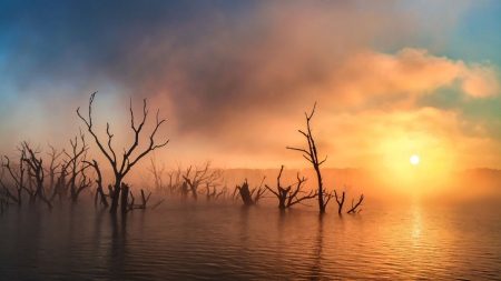 fog on the water - fall, sunset, autumn, landscape, lake, smoke