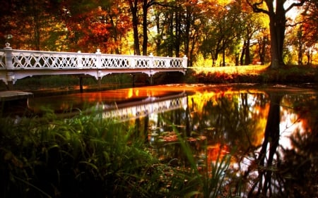 Autumn Park - Autumn, trees, water, pond, lamp post, Fall, park, bridge