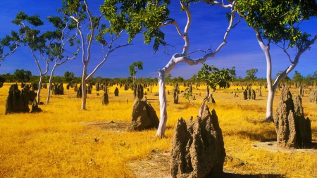 Gulf Savannah, Australia - landscape, trees, stones, outback