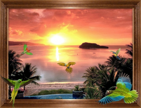 Paradise land of colorful parrots - sea, parrots, colors, paradise