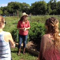 Cowgirls Garden