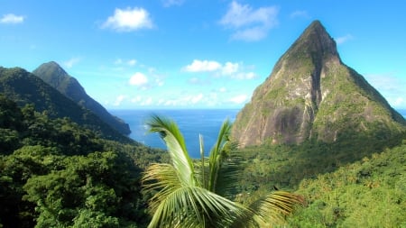 Jurassic Island - nature, palm trees, trees, forest, islands, clouds